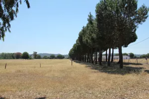 FINCA DE RECREO EN TOLEDO