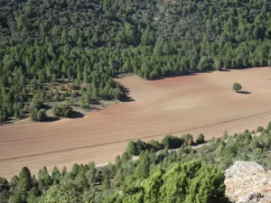 FINCA CINEGETICA EN GUADALAJARA - 1409