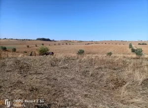 Parcela (Luz y Agua) en La Corchuela, Badajoz