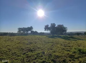 2500m2 en Malasaradas, Badajoz