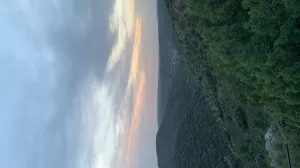 finca forestal