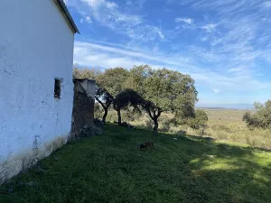 Finca, 46,5 hectáreas, con ruina,  Toledo