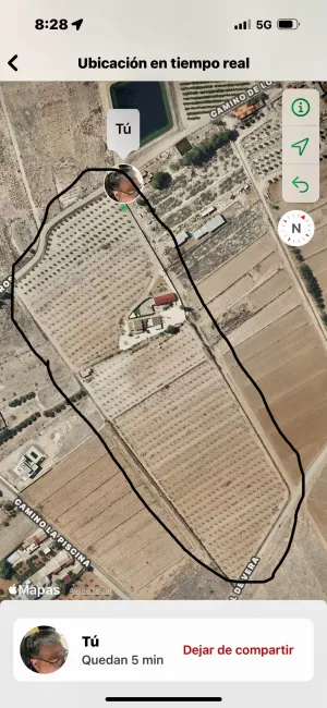 Villa tres casas+ finca pistachos