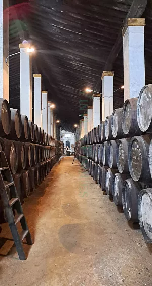 Bodega de vinos y brandy DO Jerez