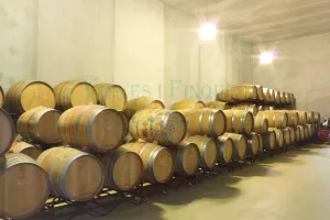 Bodega con viñedo en DO Priorat