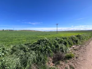 Finca agrícola con 60 ha de regadío