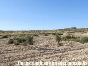 finca en venta 23 has. encina para trufa
