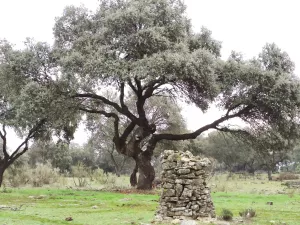Finca ganadera