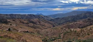 Finca Rústica  Licencia construcción vivienda
