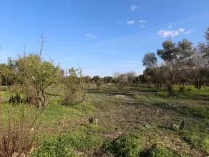 LOTE 12 FINCAS RÚSTICAS EN O DEVESO-AS PONTES