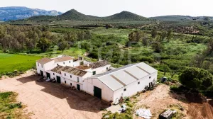 Finca agrícola de regadío en Málaga