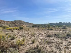 🌞 ¡OPORTUNIDAD INVERSORES EN ENERÍA SOLAR