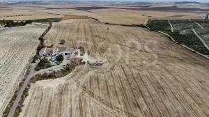 Finca agrícola en venta en Cádiz