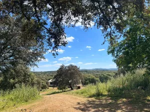 🌿 Finca en la Sierra Norte de Sevilla: 97 He