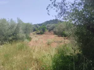 Vendo finca edificable