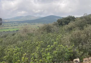 Finca de caza y recreo, 250 hectáreas.