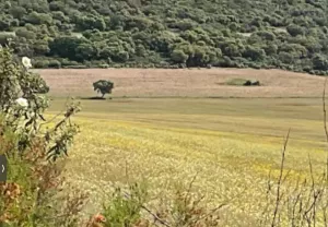 Finca de Recreo