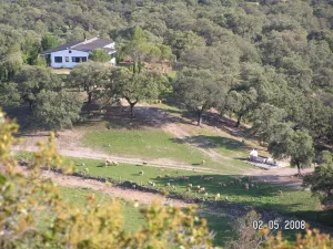 Finca Ganadera y Cinegética en Constantina