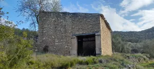 Finca 13 ha con olivares, alamendros y pinar