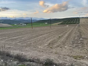 FINCA DE REGADIO EN MILANOS MONTEFRIO