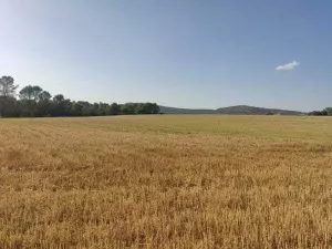 SE VENDE FINCA RÚSTICA EN ALCOCER (GUADALAJAR