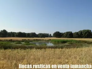 finca en venta 475 has. labor caza menor