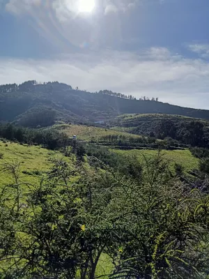 FINCA 31.616 M2 GRAN CANARIA (ISLAS CANARIAS)