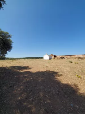 Finca de 343 Ha de tierra de labor y caza