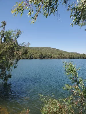 Finca de 100 Ha de Monte