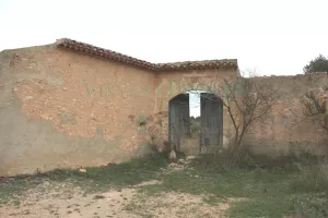 Finca de viñedo y cerezos en Tarragona.