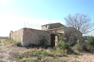 finca con viñedo y masia en Tarragona