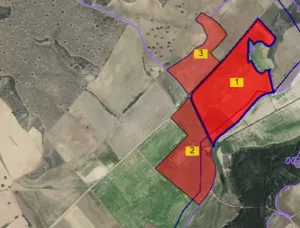 FINCA DE EXPLOTACION MIXTA