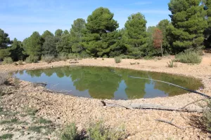 Finca de caza y recreo en Albacete Ref. 1523