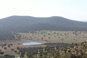 Espectacular finca en Toledo Ref. 1528