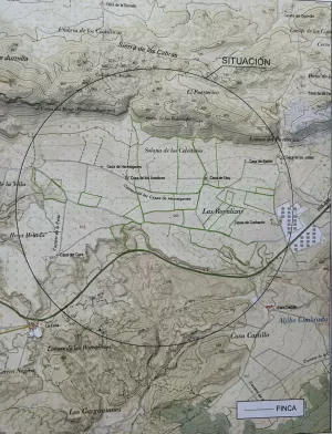 Finca agrícola en venta en Jumilla