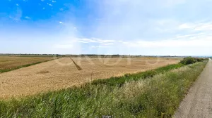 Finca de regadío en Los Monegros (Huesca)