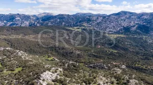 Exclusiva finca de caza en Grazalema