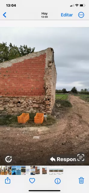 TIERRA DE CULTIVO EN PRODUCCION