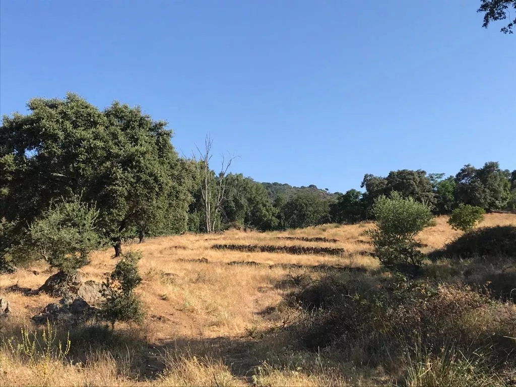 Se vende maravillosa finca de 18 hectáreas. PARQUE NATURAL SIERRA DE ARACENA Y PICOS DE AROCHE