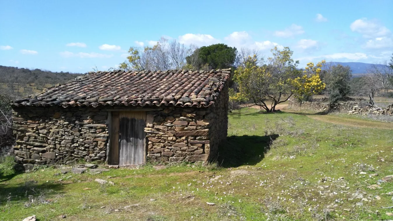 Finca Rústica en Camino de la Zarza | Huelva | 4 ha