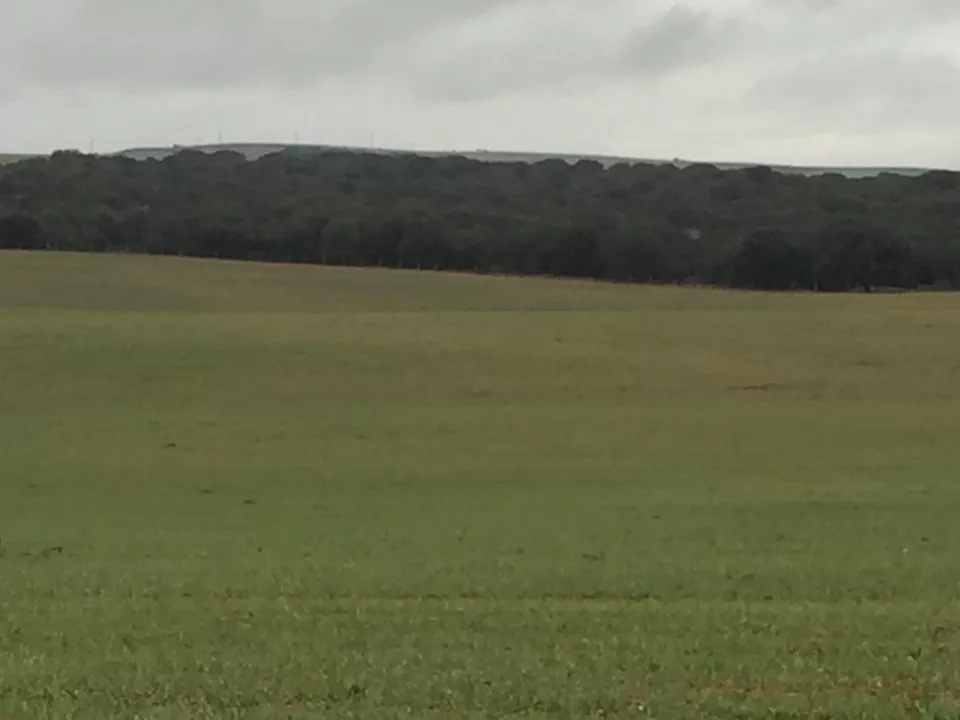 Finca Rústica en Aldenueva de Figueroa | Salamanca | 58 ha