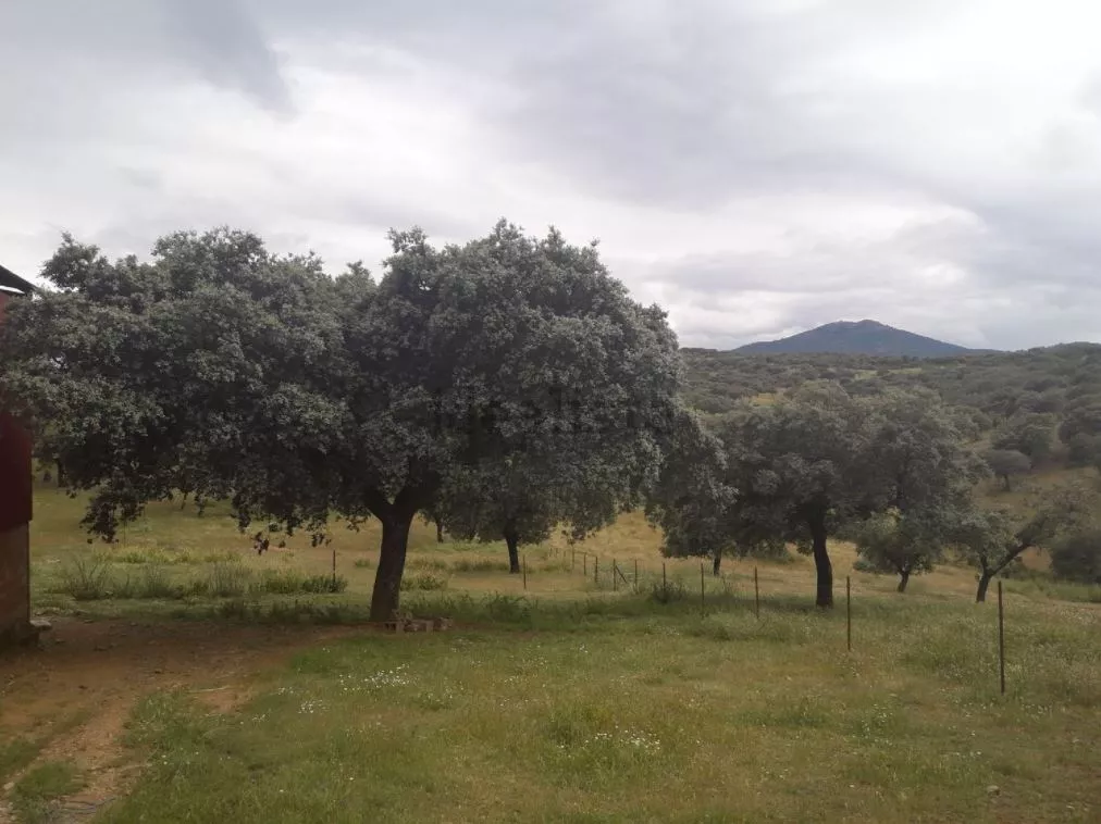 Terreno en Santa Cruz de Paniagua