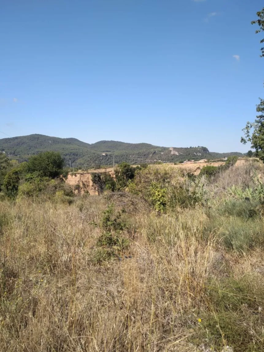 Terreno rústico de 2.300 m2 | Vallbona dAnoia | Barcelona