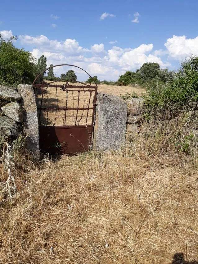 Finca Rústica en venta en Navamorales | Castilla y León | 1.200 m²