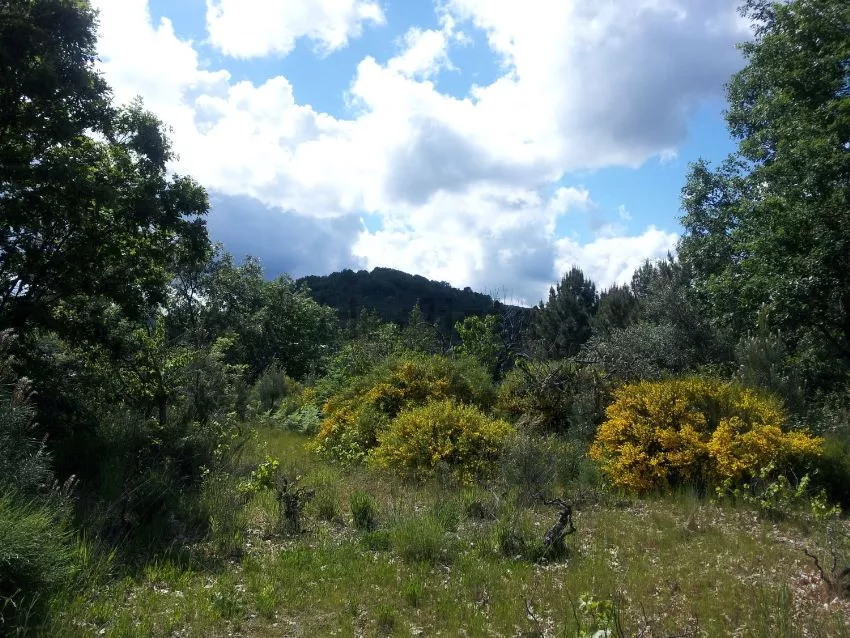 Finca en venta en Mogarraz | Salamanca | 953 m2