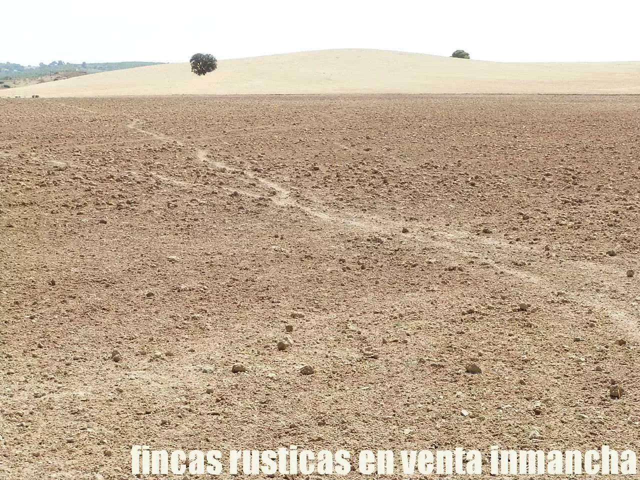 Finca en venta labor-olivar-pastos Jaén | 250 ha.| Inmancha