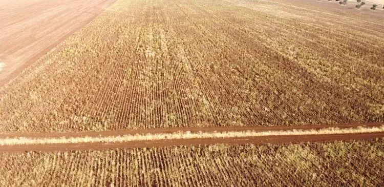 Venta de Finca mixta de cultivo y ganadera en Badajoz