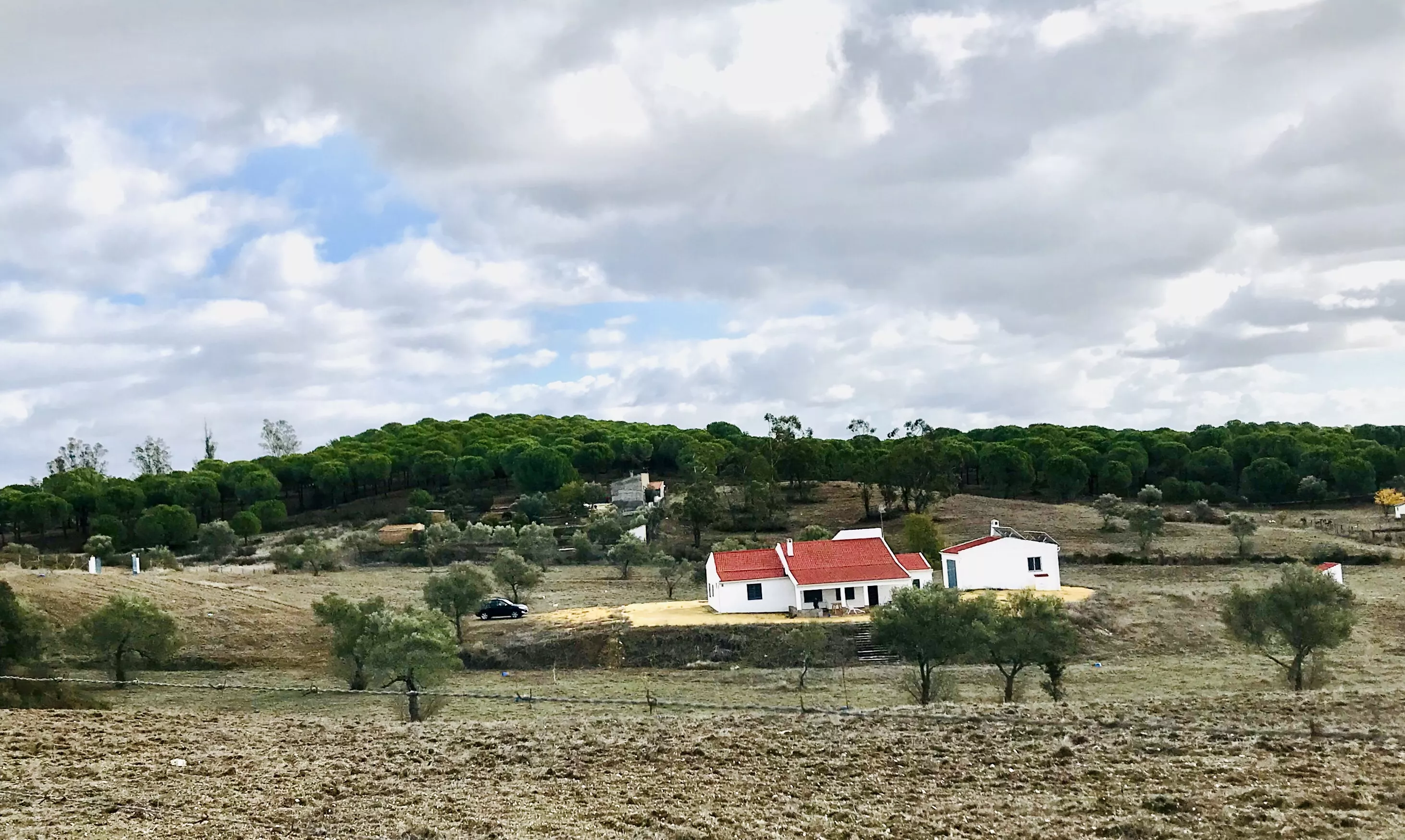 Venta finca rural de recreo en Niebla, Huelva
