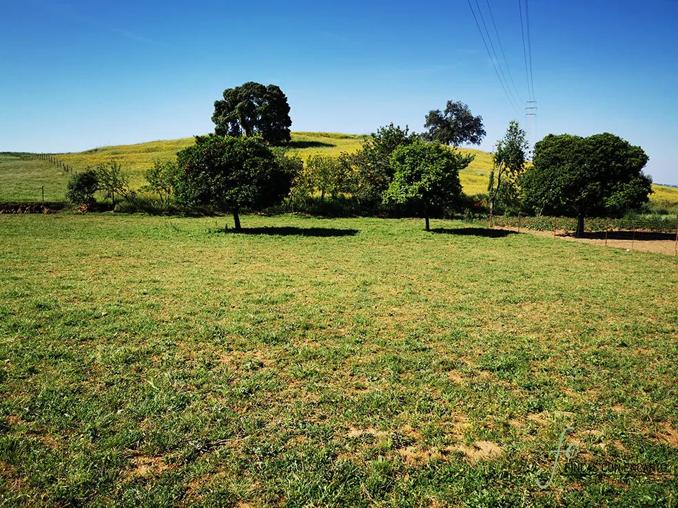 Finca junto a Cazalla de la Sierra