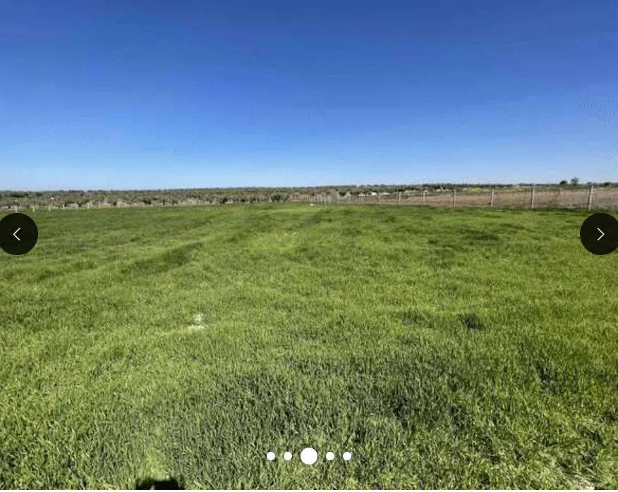 Finca rústica en Guadamur, Toledo | Portal Fincalista